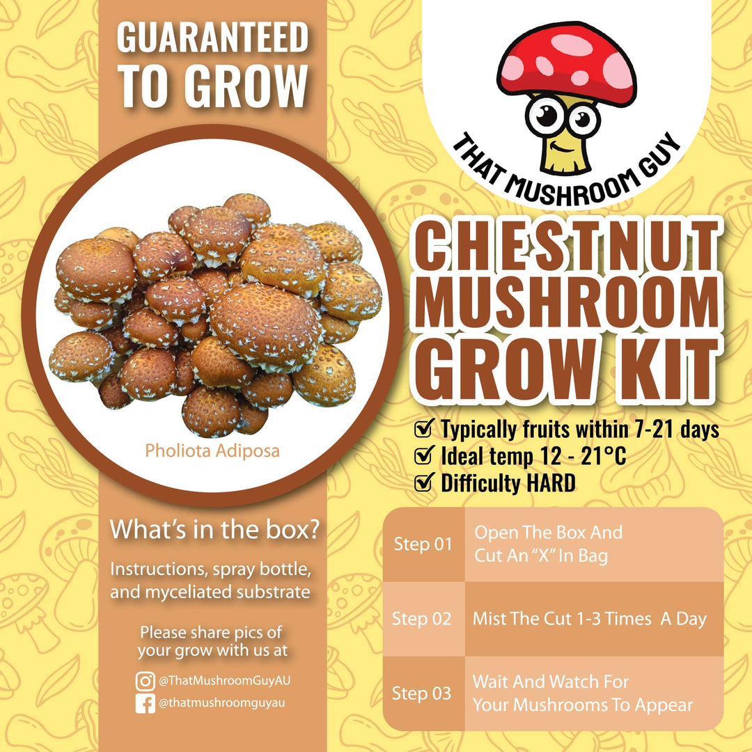 Mushroom Grow Kits: The Ultimate Gift Guide