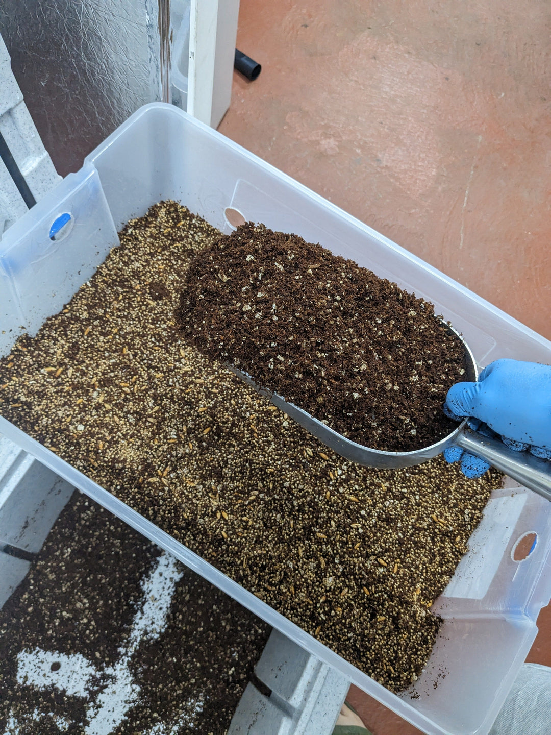 Brett's Coir Prep: How to make Monotub Substrate